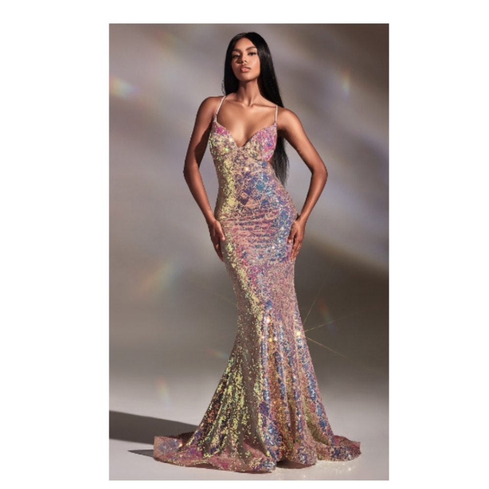 CD880 Evening Dress